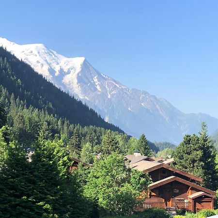 Residence La Verte 24- Aux Pieds Des Pistes! シャモニー エクステリア 写真